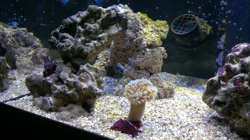 2013-06-18-2407.jpg (58.72 KiB) Vist 1457 gange Venstre side med den nye JJ-keramiksøjle fra en anden vinkel som er ved at blive indkørt