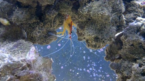 2013-06-18-2409.jpg (49.83 KiB) Vist 1251 gange Dannebrogsreje kigger ud fra rejsestationen