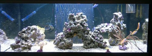 2013-06-18-2404.jpg (37.27 KiB) Vist 1251 gange FTS