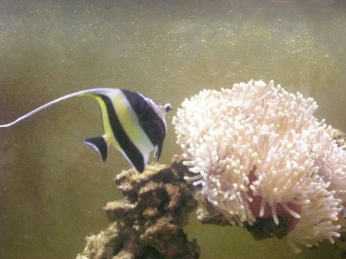 Snart haft ham 14 dage, og det går kun i den rigtige retning