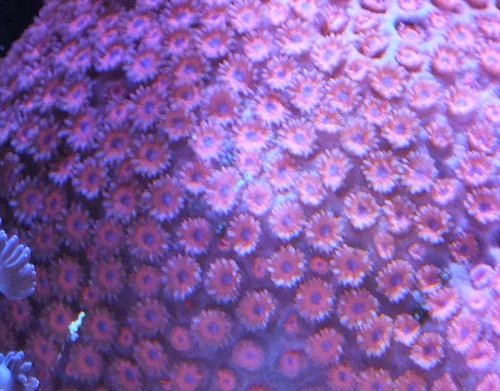 DSCF8563b.jpg