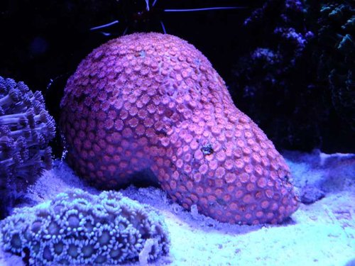 DSCF8572.jpg