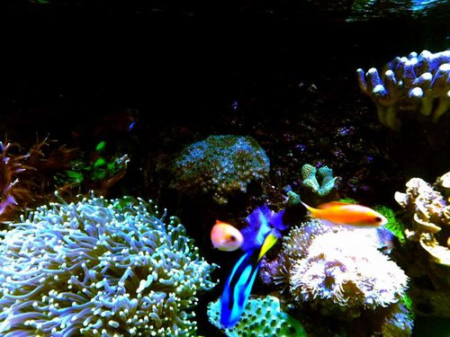 P_20130628_172636.jpg