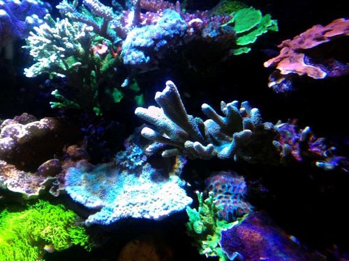 P_20130628_172649.jpg
