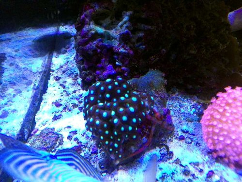 P_20130628_172729.jpg