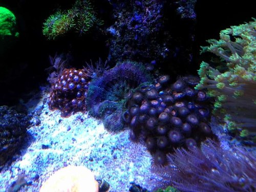 P_20130628_172742.jpg