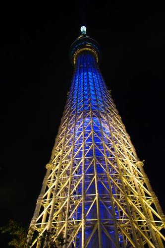 IMG_7984.jpg