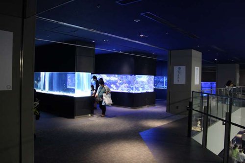 IMG_7886.JPG
