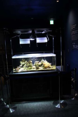 IMG_7885.jpg
