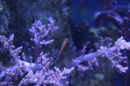 IMG_7871.JPG