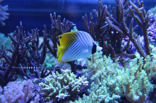 IMG_7857.JPG