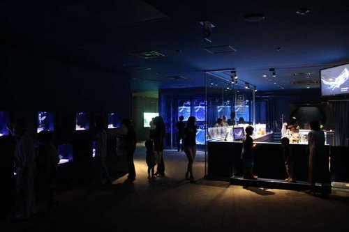 IMG_7832.JPG