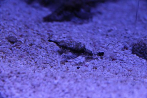 IMG_7831.JPG