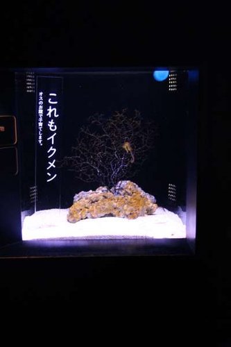 IMG_7826.jpg