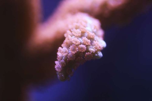 IMG_6026.JPG