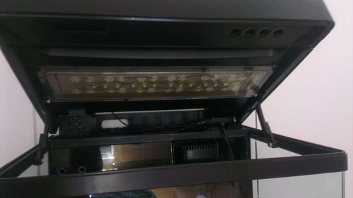 IMAG0237.jpg
