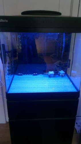 IMAG0238.jpg