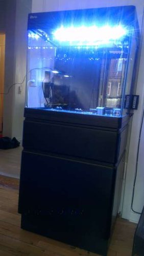 IMAG0243.jpg