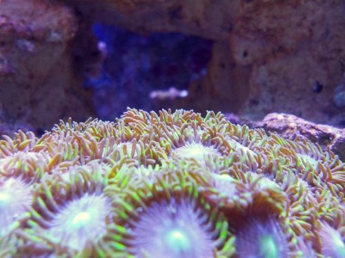 IMG_20130709_162113.jpg