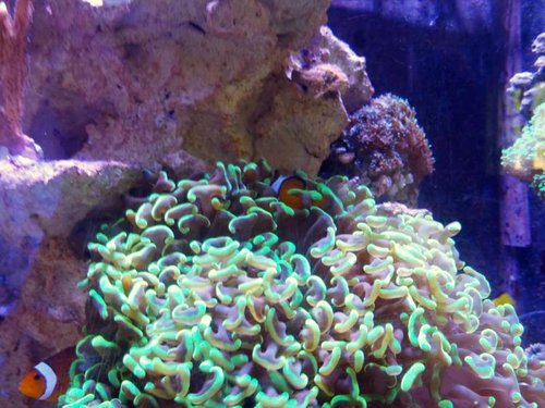 IMG_20130709_164309.jpg