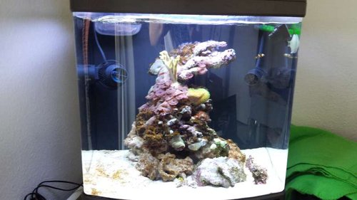 20130716_161245.jpg