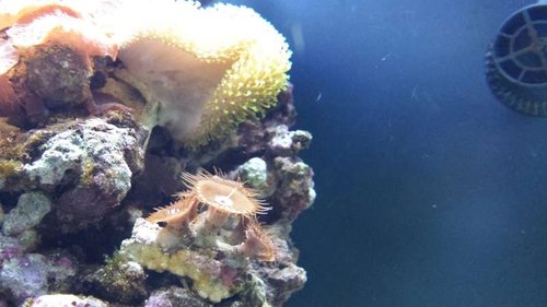 20130716_161237.jpg