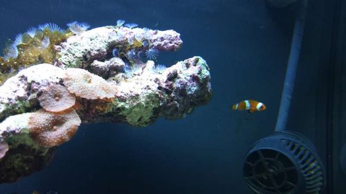 20130716_161224.jpg