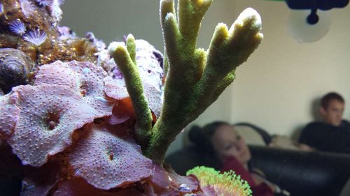 20130716_161216.jpg
