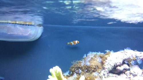 20130716_161133.jpg