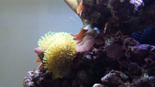 20130716_161119.jpg