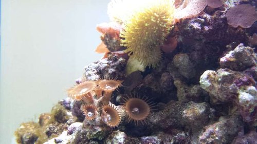 20130716_161108.jpg