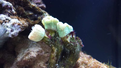 20130716_161017.jpg