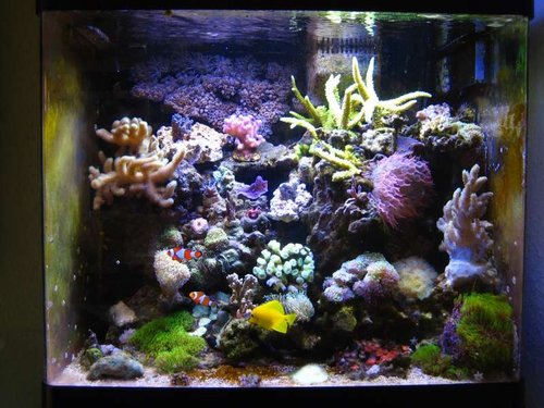 FTS2