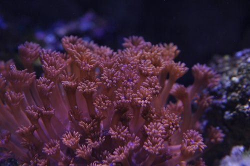 _MG_6012.JPG
