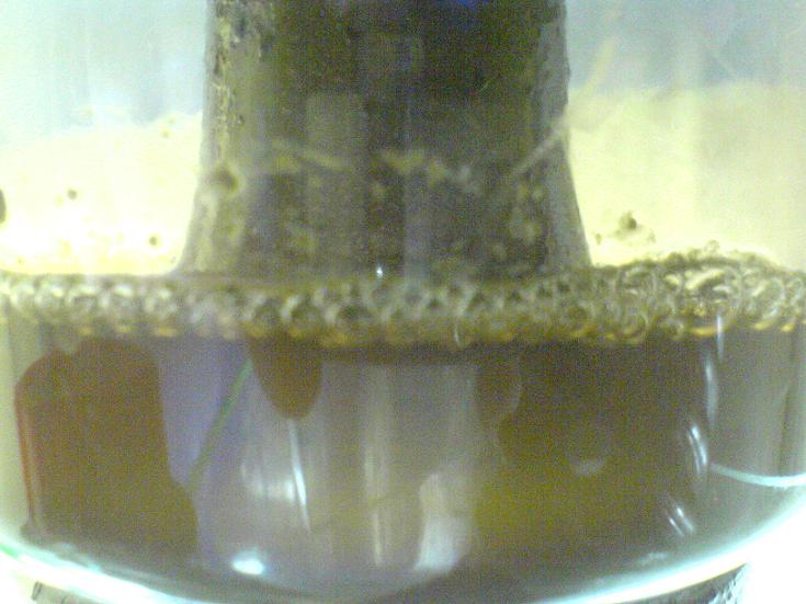 DSC00315.JPG