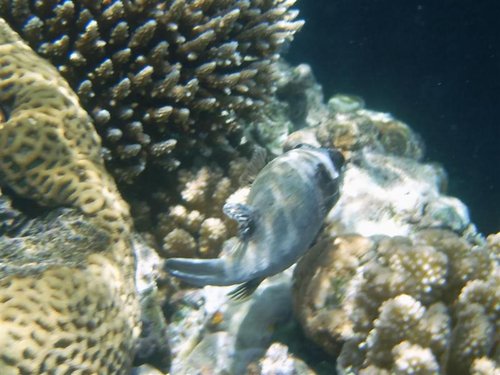 ses (2) (Medium).jpg