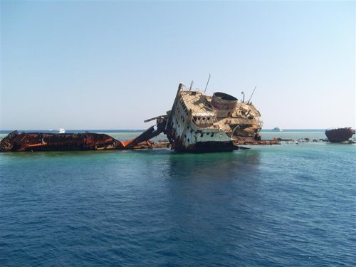 ses (7) (Medium).jpg