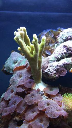 20130716_160408.jpg