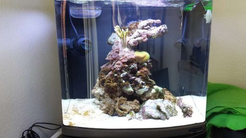 20130716_161615.jpg