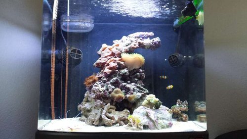 20130810_165503.jpg
