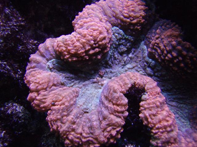 P5103918 (Small).JPG