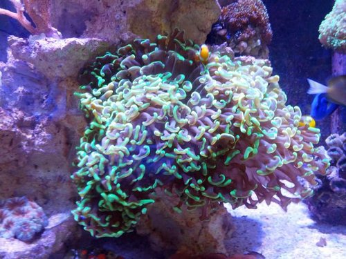 IMG_20130709_162158.jpg