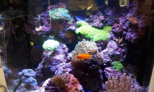 20130828_155315.jpg