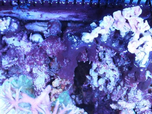 DSCF8795 (Medium).jpg