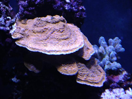 DSCF8800 (Medium).jpg