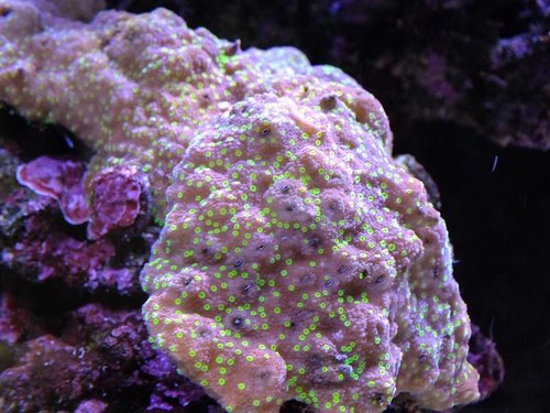 DSCF8598 (Medium).jpg