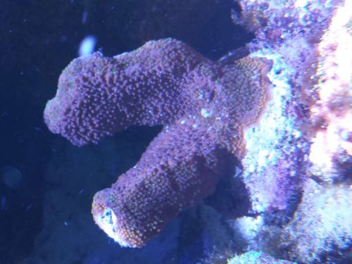 20130902_171718.jpg