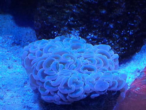 20130908_143556.jpg