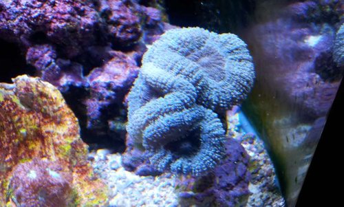 20130904_182730.jpg
