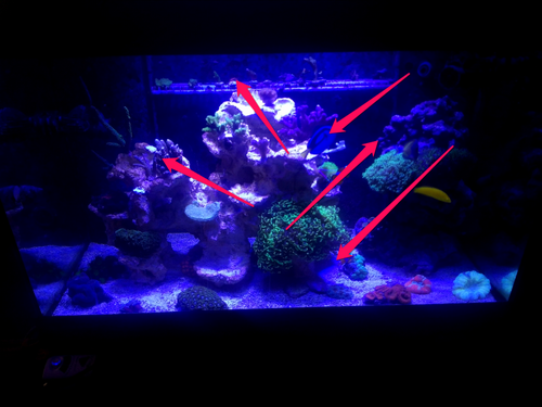 Image2050657284.png